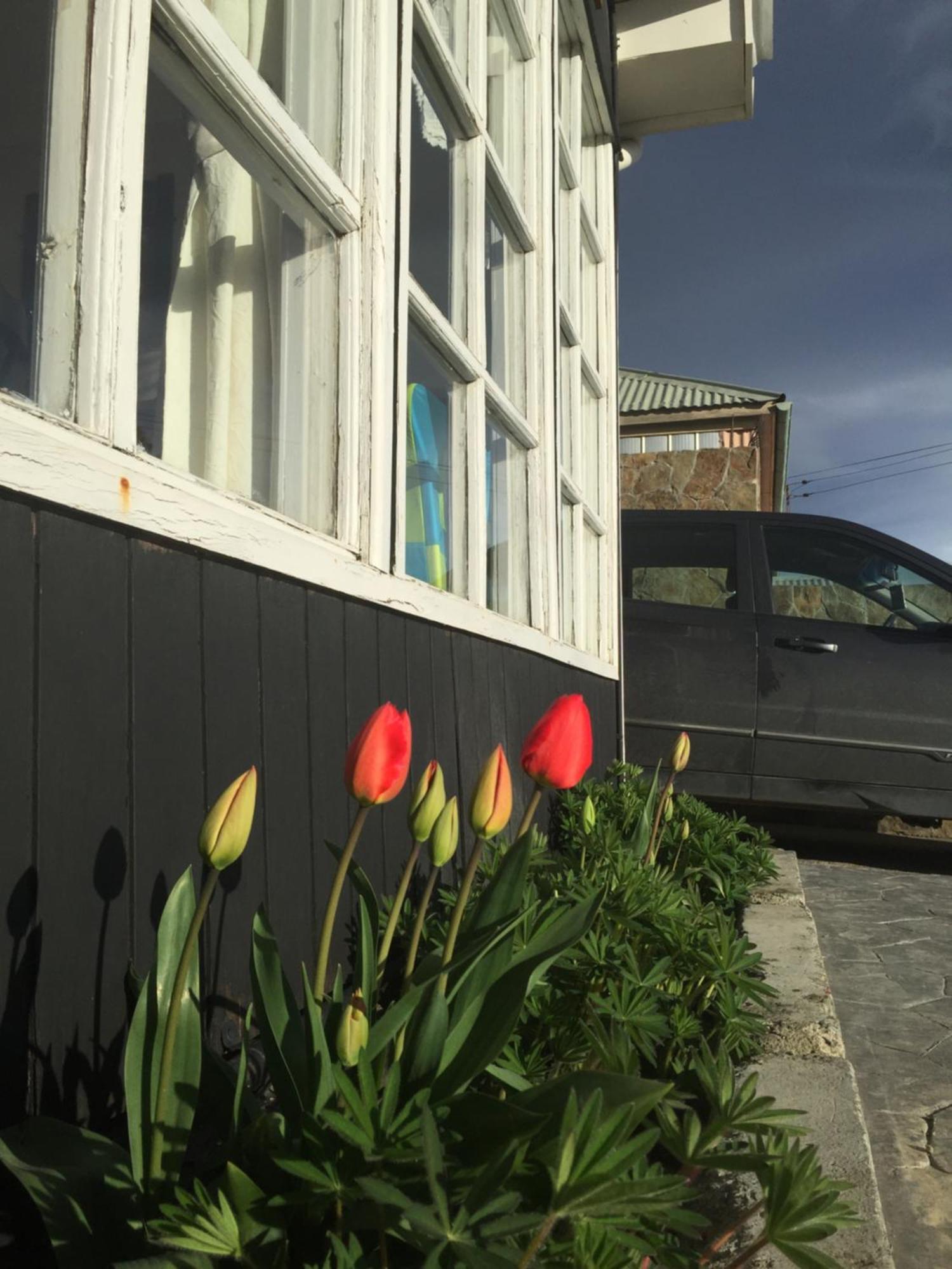 Big Bang Patagonia - Traveler Assistance Bed & Breakfast Puerto Natales Exterior photo